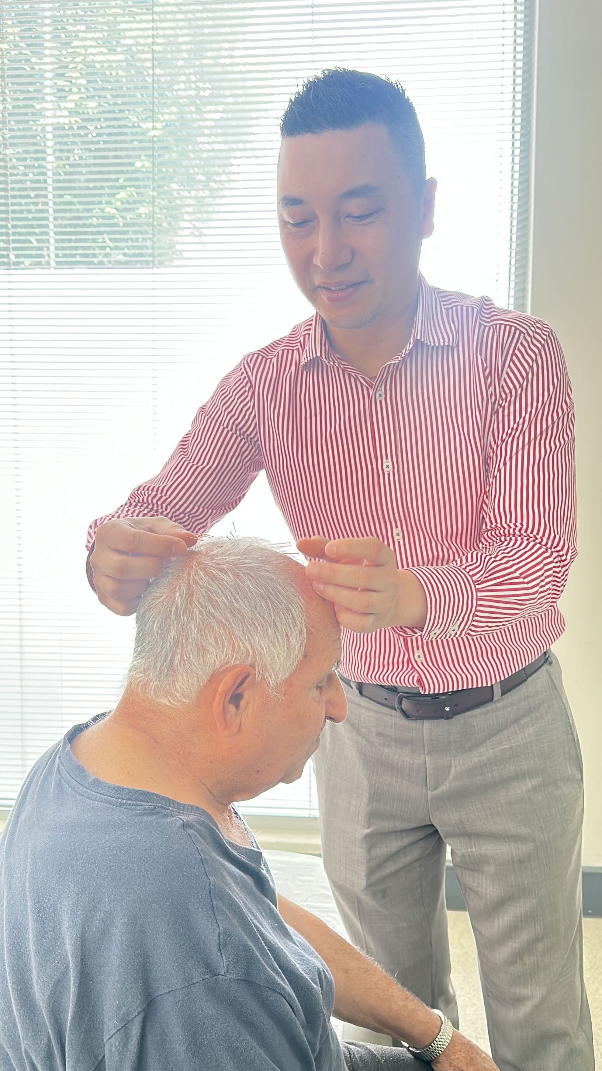 How Zhu's Scalp Acupuncture Treats Everyday Clinical Conditions — webinar hero image