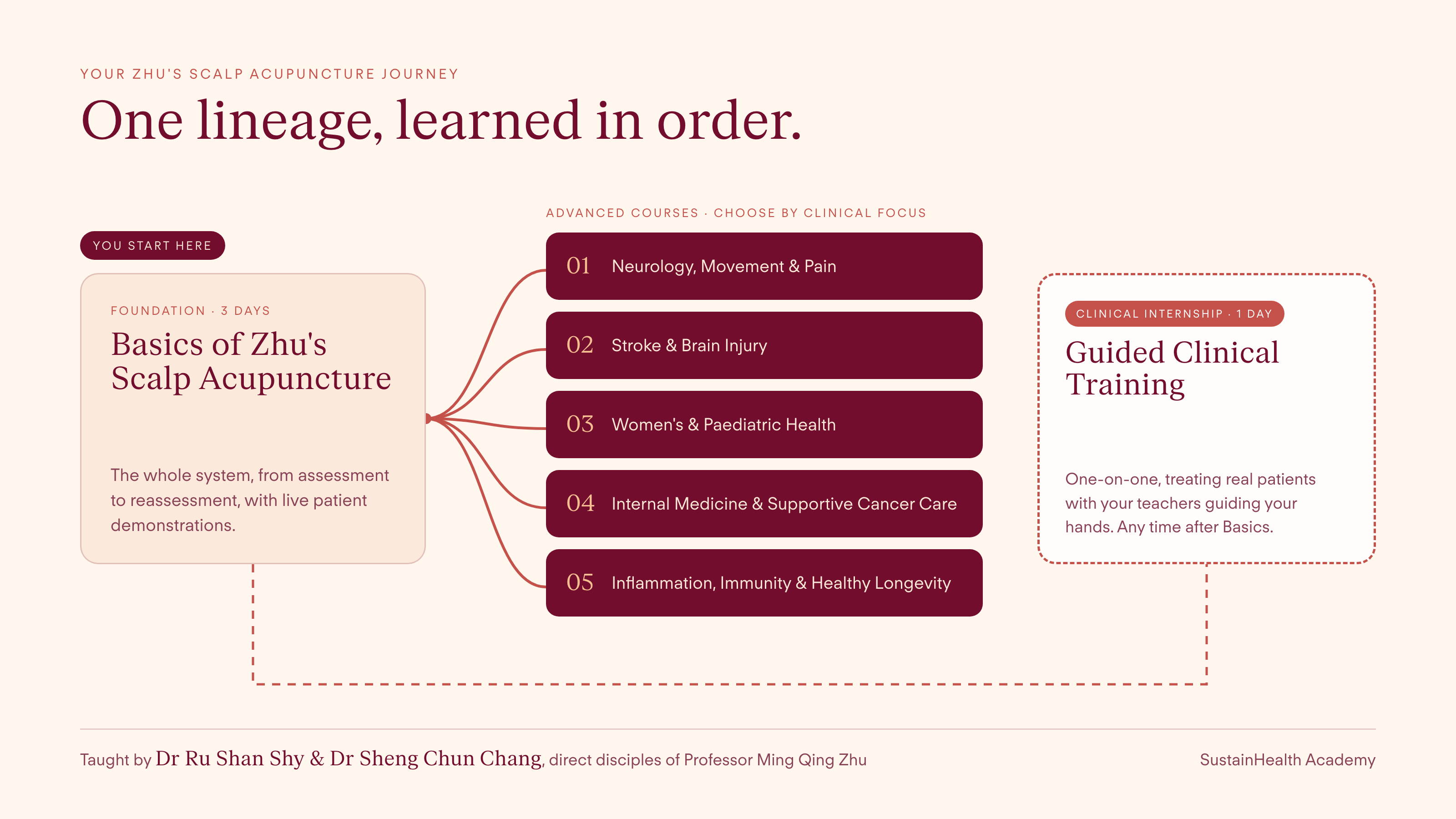 The Zhu's Scalp Acupuncture journey: Basics (3 days), then five Advanced courses: Neurology, Movement & Pain; Stroke & Brain Injury; Women's & Paediatric Health; Internal Medicine & Supportive Cancer Care; Inflammation, Immunity & Healthy Longevity. Alongside them, Guided Clinical Training, a one-day clinical internship.