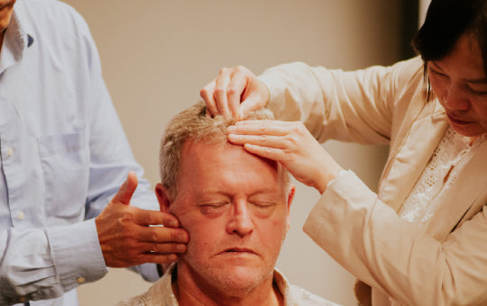 Basics of Zhu's Scalp Acupuncture — live clinical training