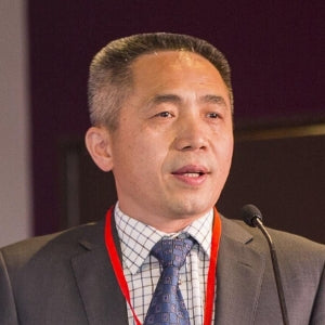Professor Tianjun Wang
