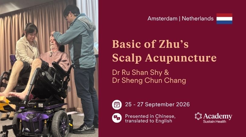 Basics of Zhu's Scalp Acupuncture — Amsterdam 2026