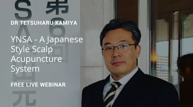 YNSA: A Japanese Style Scalp Acupuncture System