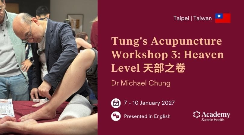 Tung's Acupuncture Workshop 3 — Heaven Level — Taipei 2027